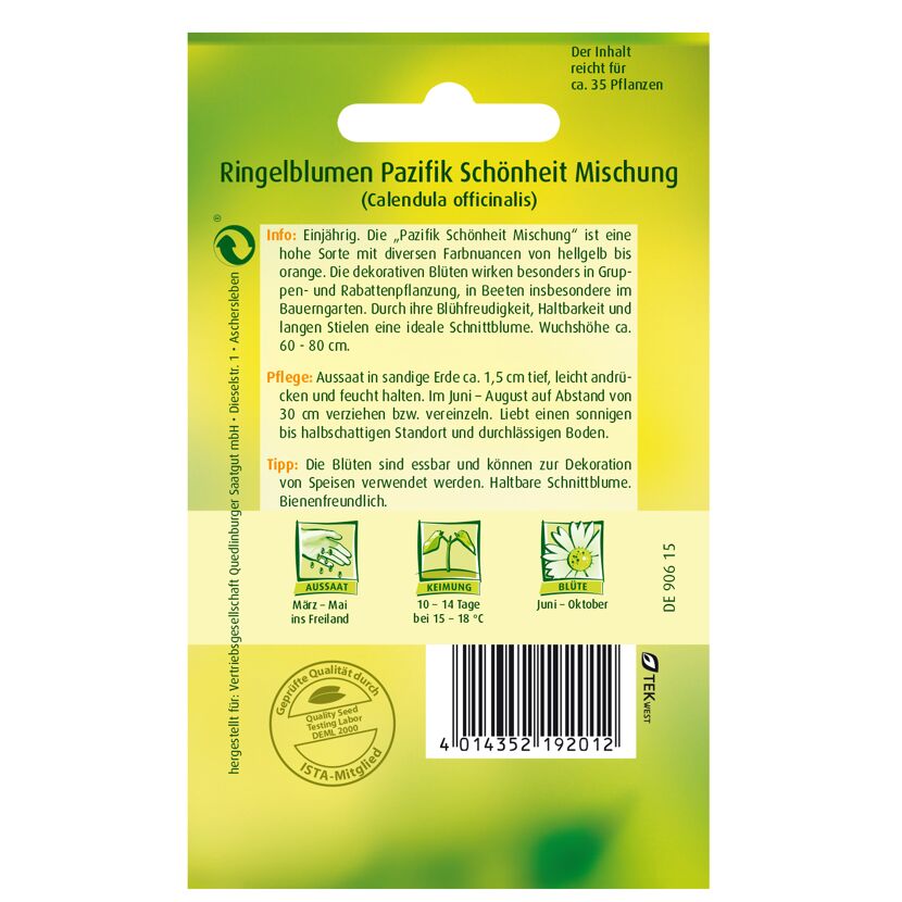 Ringelblumen 'Pazifik Schönheit'