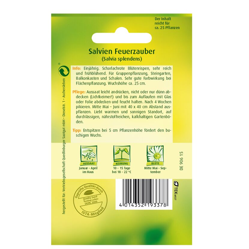 Salvie 'Feuerzauber'
