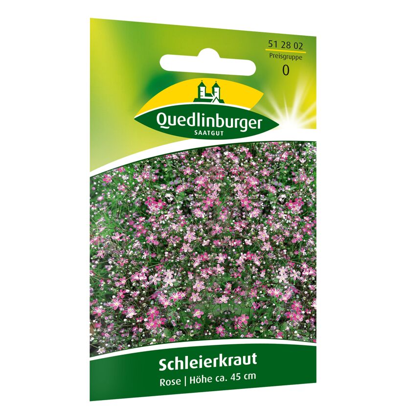 Schleierkraut 'Rose'