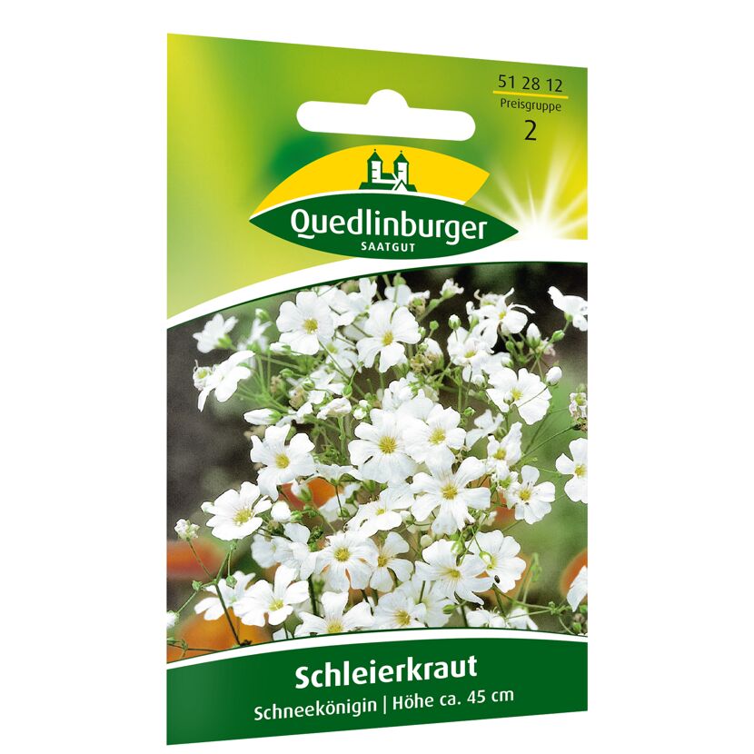 Schleierkraut 'Schneekönigin'