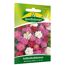Schleifenblumen Mischung