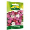 hauptbild