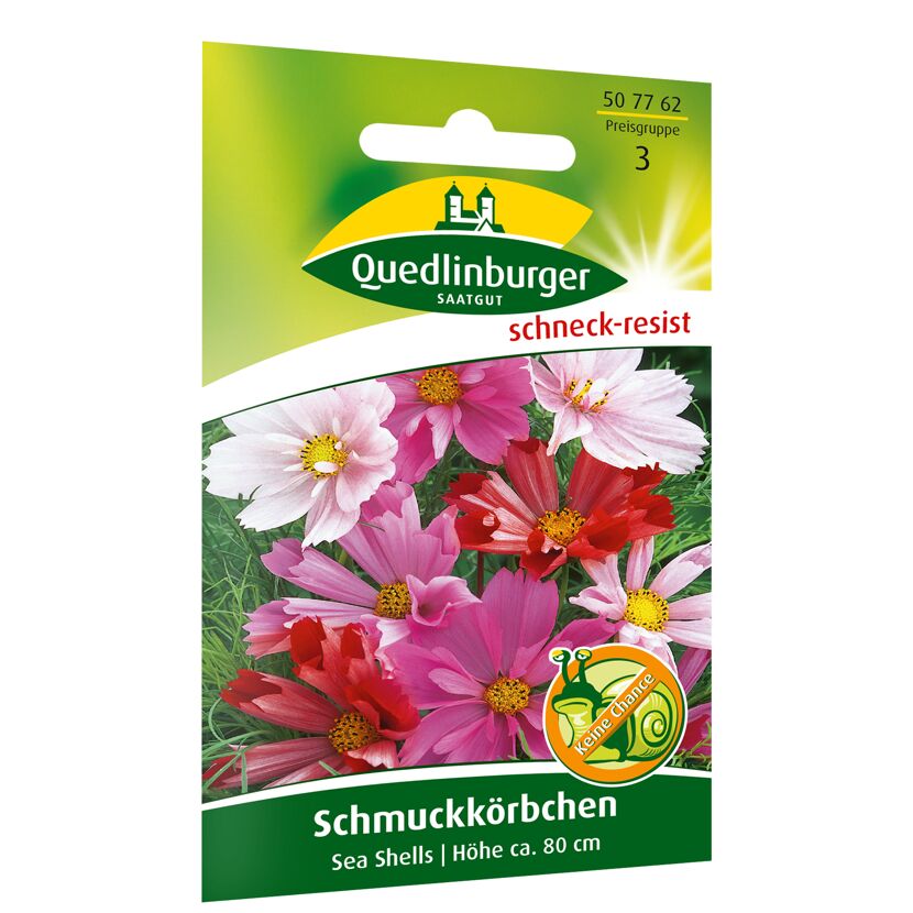 Schmuckkörbchen 'Sea Shells'
