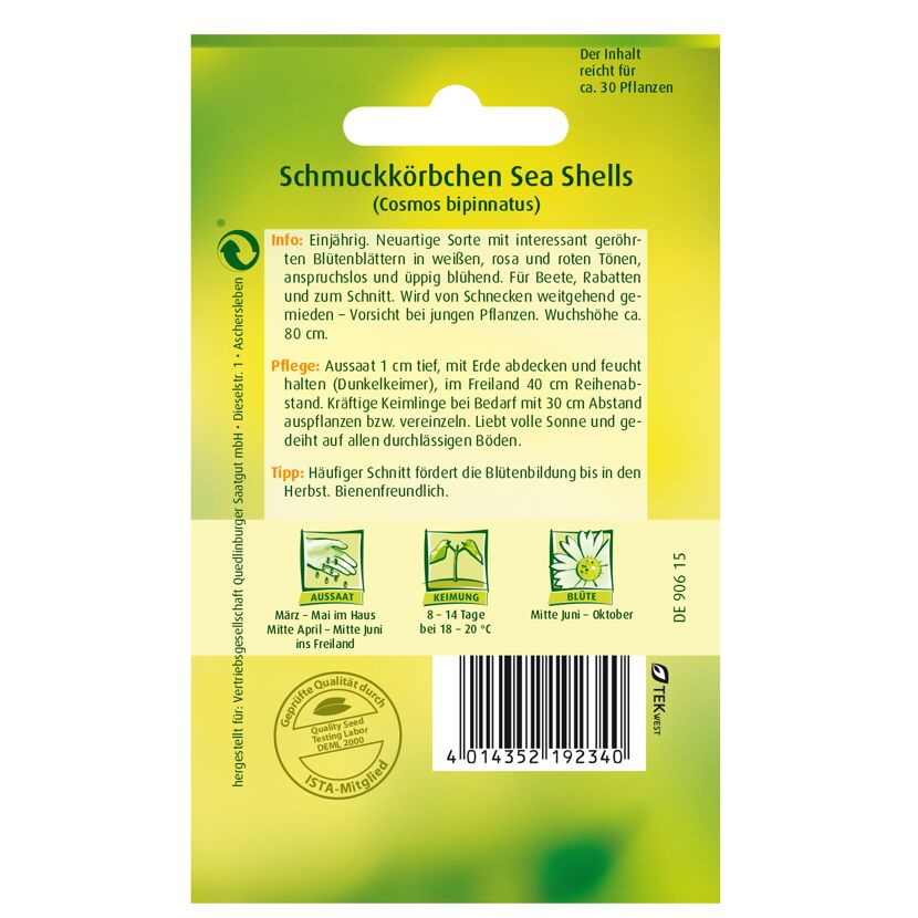 Schmuckkörbchen 'Sea Shells'