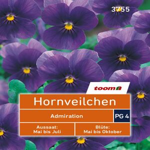 toom Hornveilchen 'Admiration' 80 Stück