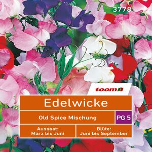 toom Edelwicke 'Old Spice Mischung' 25 Stück