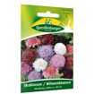 hauptbild