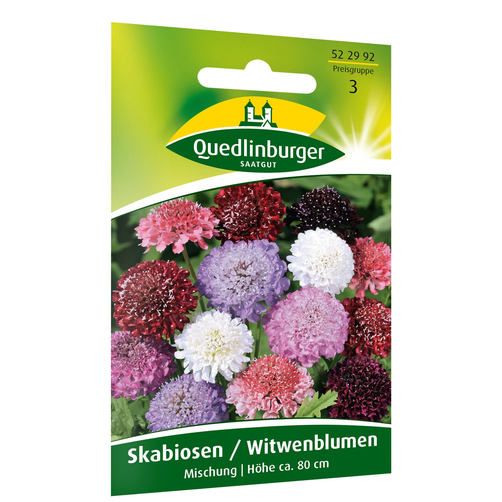 Bunter Mix von Skabiosen.