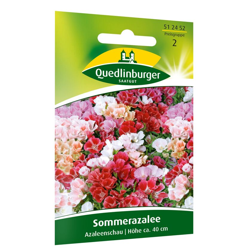Sommerazalee 'Azaleenschau'