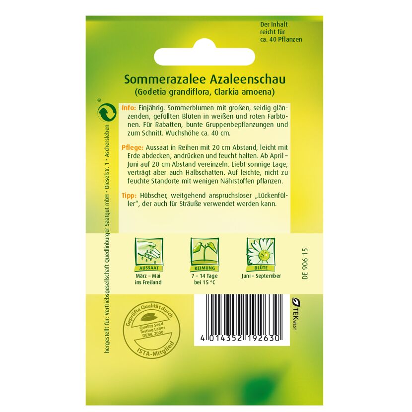 Sommerazalee 'Azaleenschau'