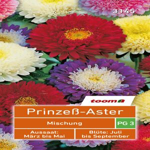 toom Prinzeß-Aster 'Mischung' 80 Stück