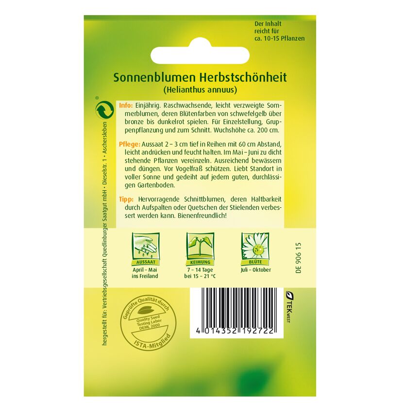Sonnenblumen Herbstschönheit Samen