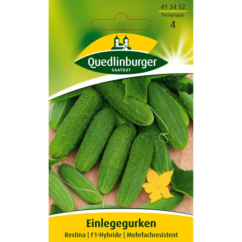 Einlegegurken Restina F1-Hybride