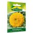 Sonnenblumensaatgut "Sonnengold" von Quedlinburger