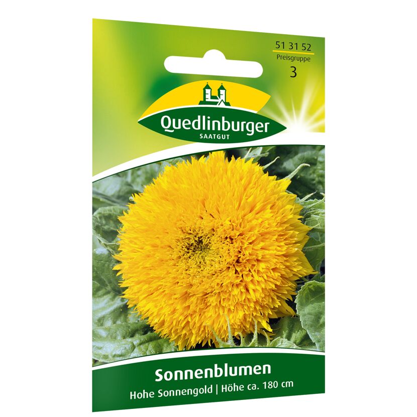 Sonnenblumensaatgut "Sonnengold" von Quedlinburger