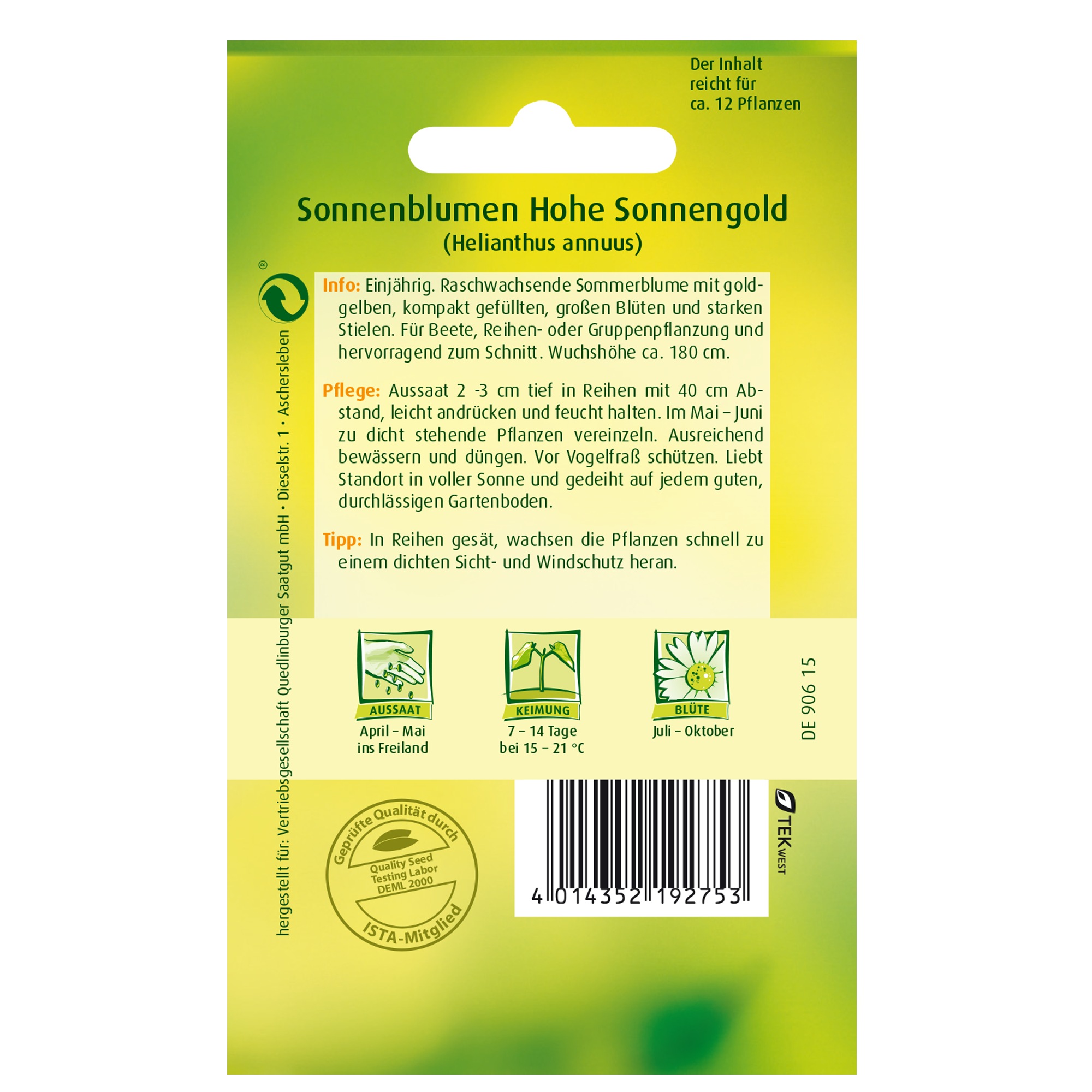 Sonnenblumen 'Hohe Sonnengold' + product picture