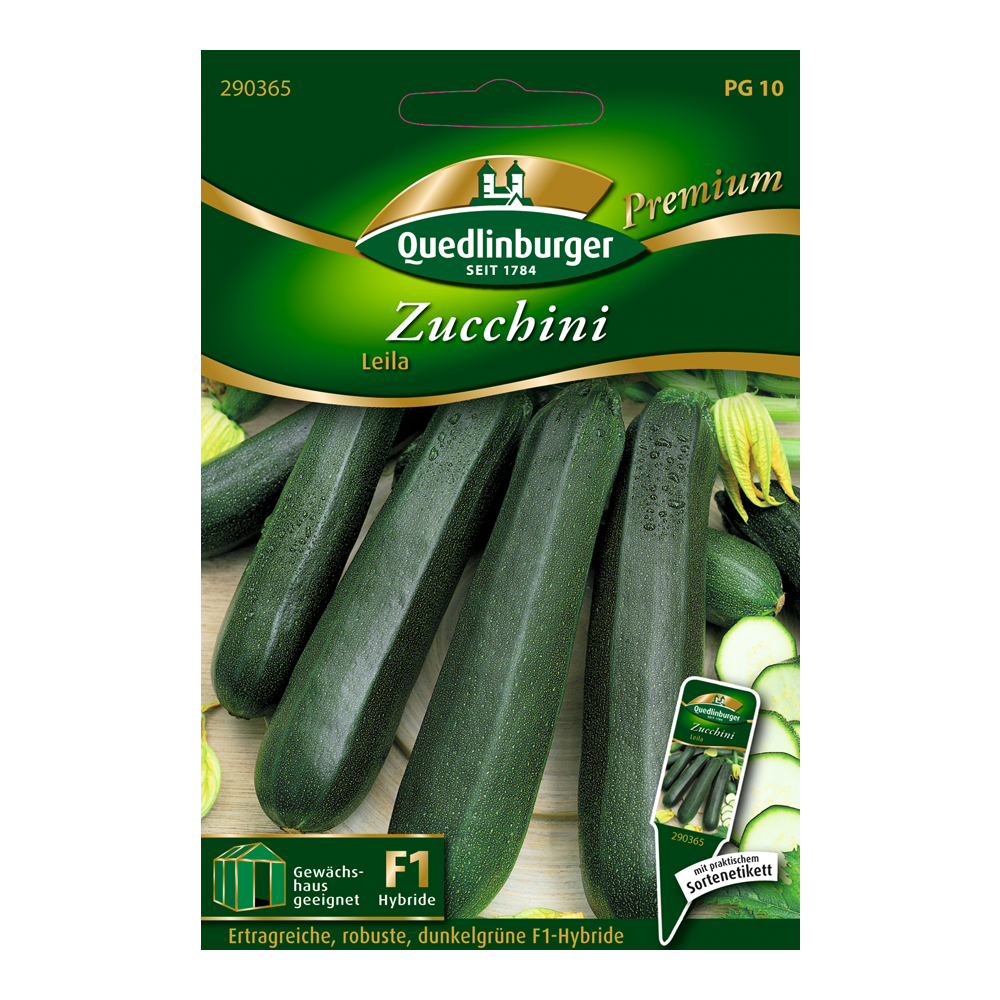 Zucchini "Leila" 10 Stück + product picture