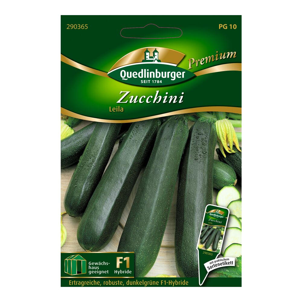 Samen Zucchini Leila von Quedlinburger