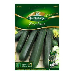 Zucchini "Leila" 10 Stück
