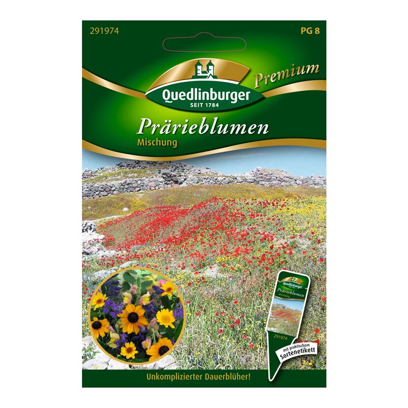 Quedlinburger Prärieblumen Mischung