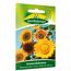 Sonnenblumen Saatgut Mischung hoher Sorten