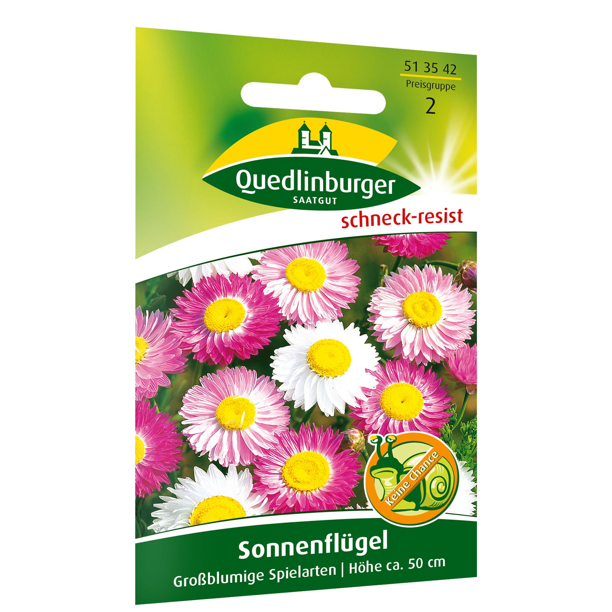 Samen Sonnenflügel, großblumig, Höhe ca. 50 cm, schneckenresistent