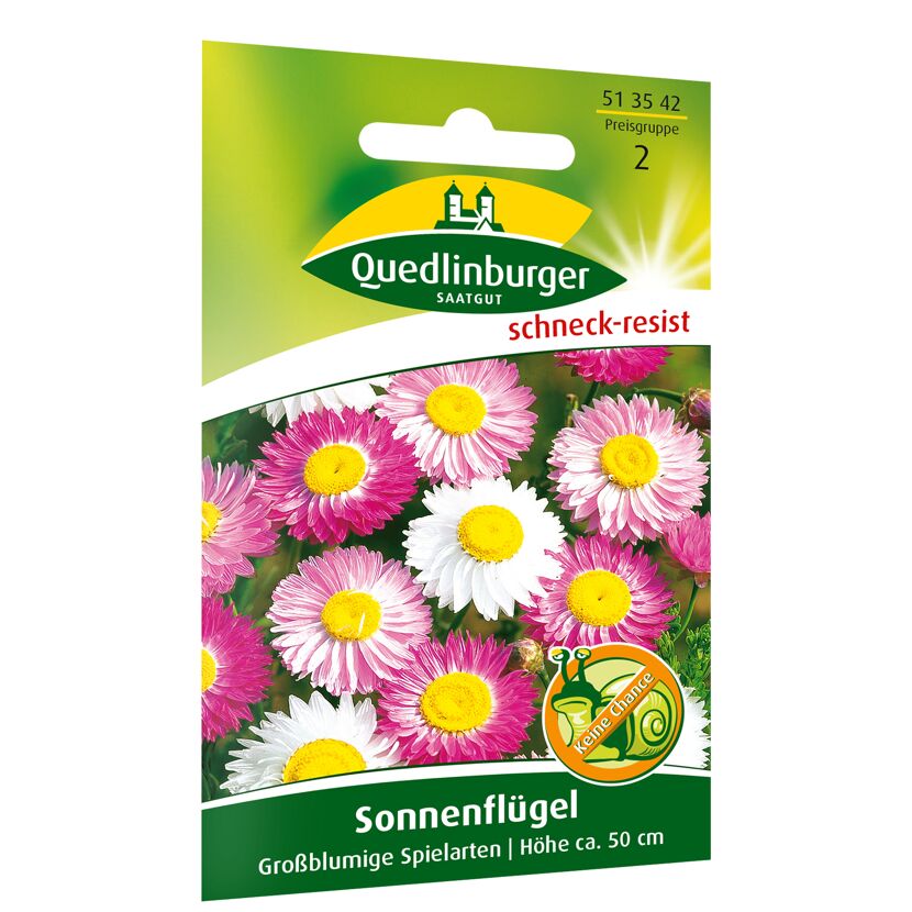 Samen Sonnenflügel, großblumig, Höhe ca. 50 cm, schneckenresistent