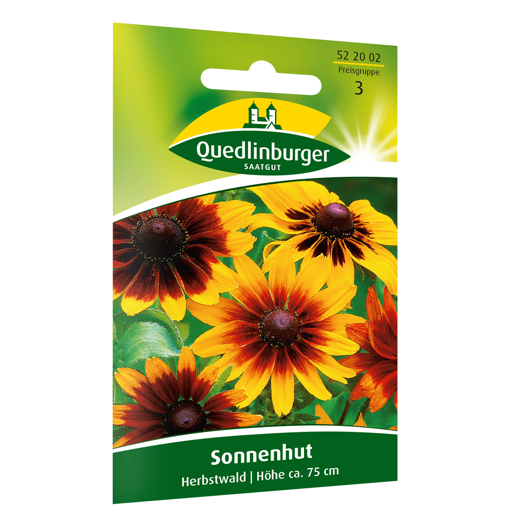 Sonnenhut 'Herbstwald' + product picture