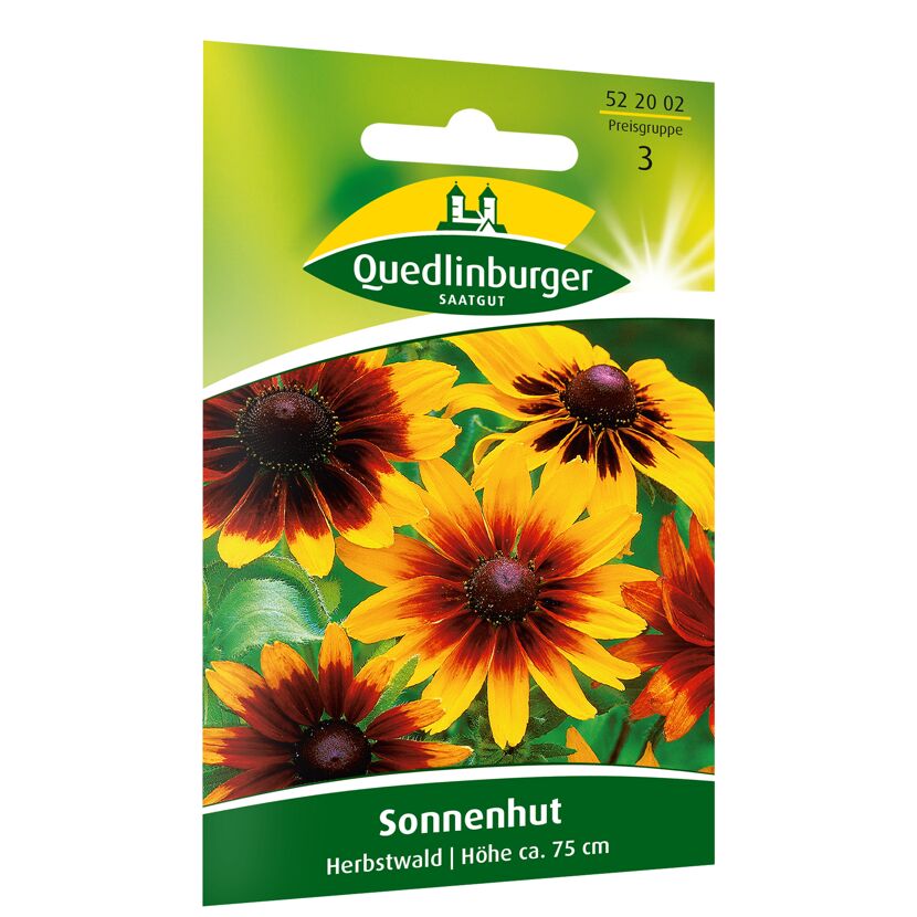 Sonnenhut Herbstwald, Höhe ca. 75 cm