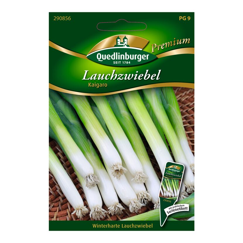 Lauchzwiebel "Kaigaro"