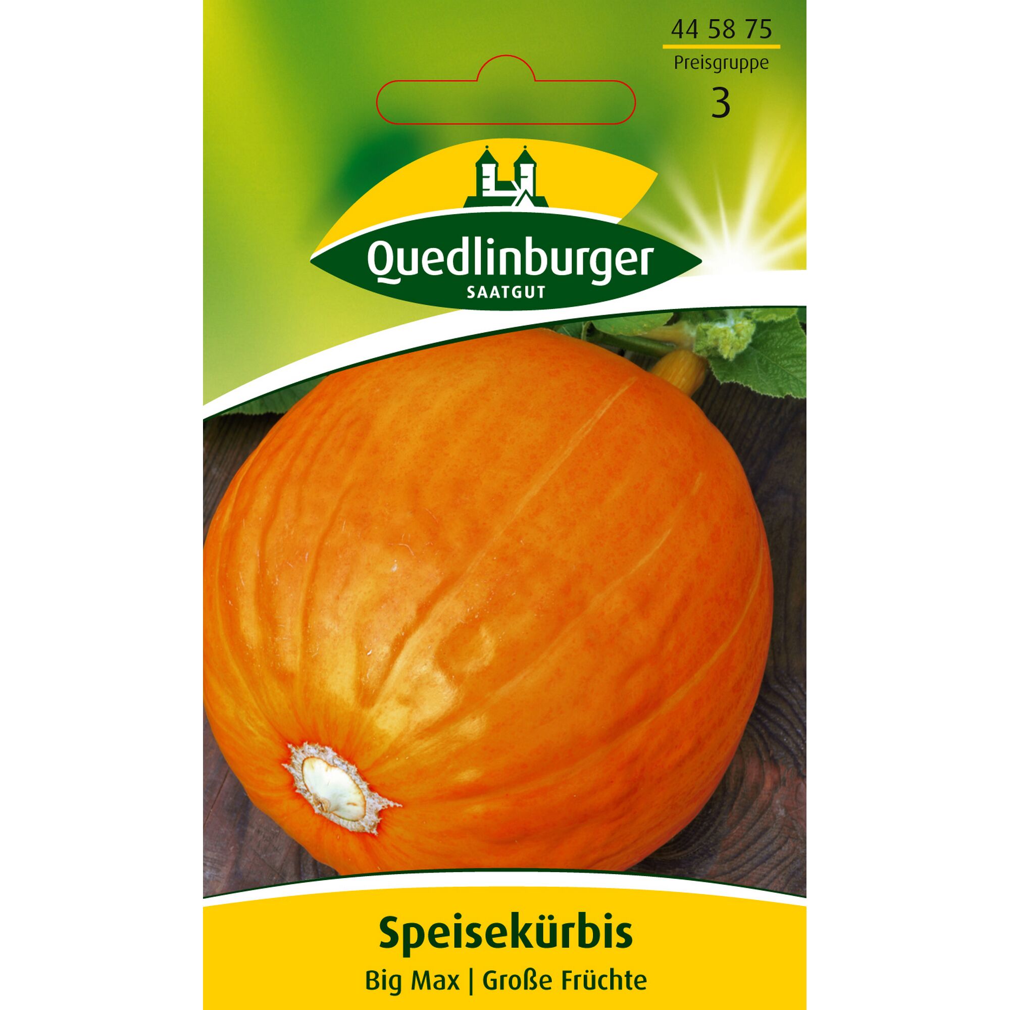 Speisekürbis Big Max von Quedlinburger Saatgut