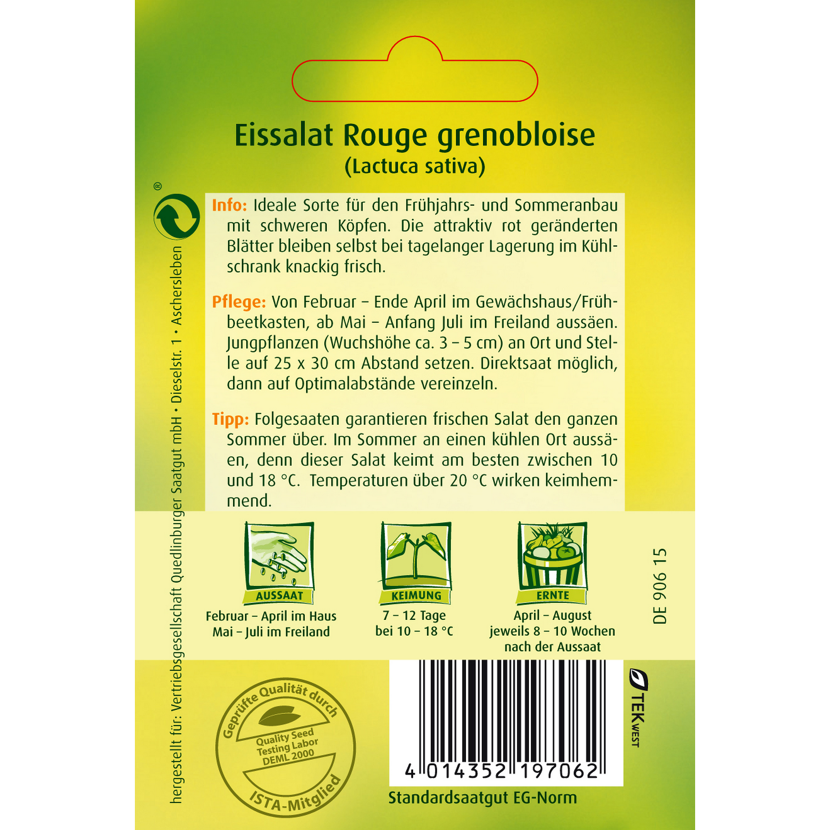 Eissalat Rouge grenobloise im Garten