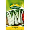 hauptbild