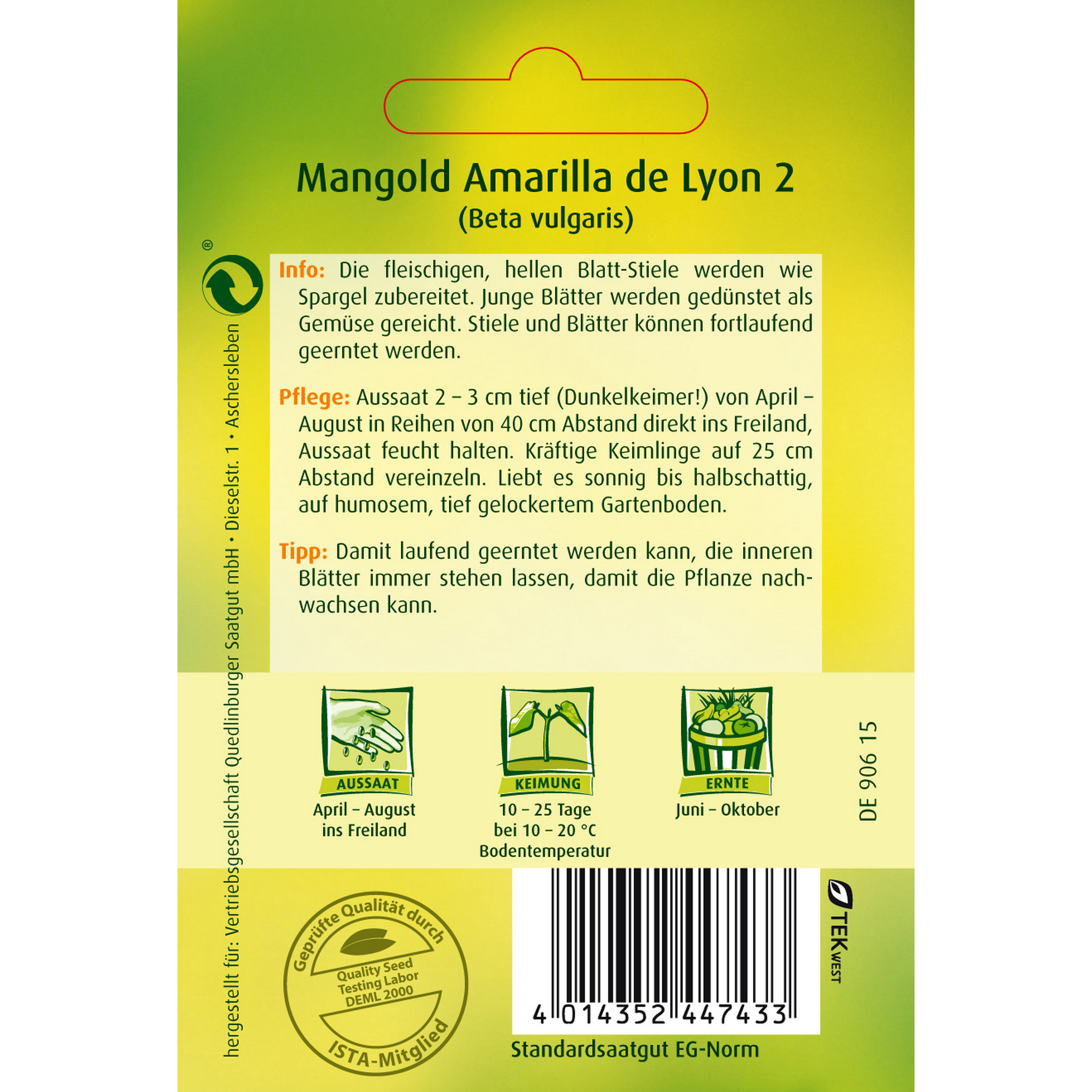 Mangold 'Amarilla de Lyon 2' + product picture