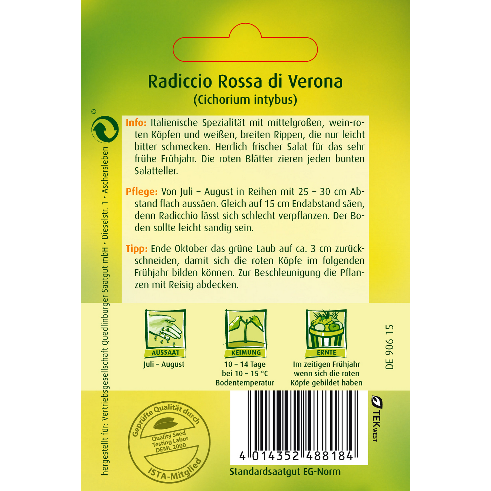 Radicchio 'Rossa di Verona' + product picture