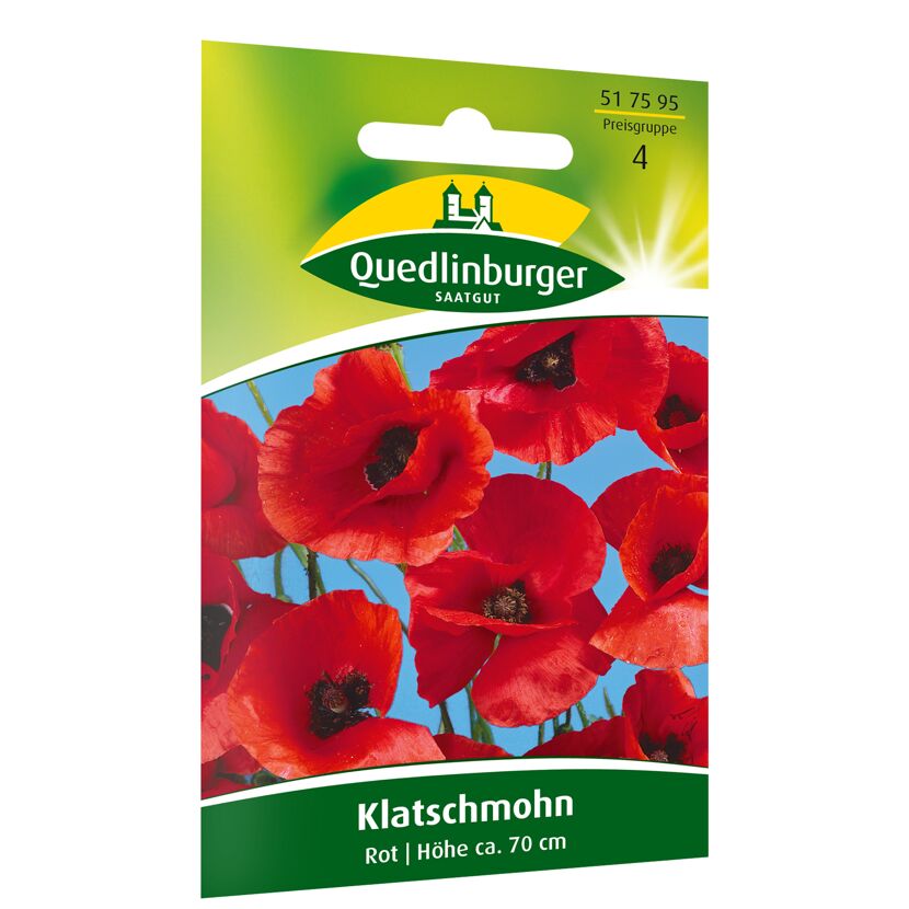 Klatschmohn rot