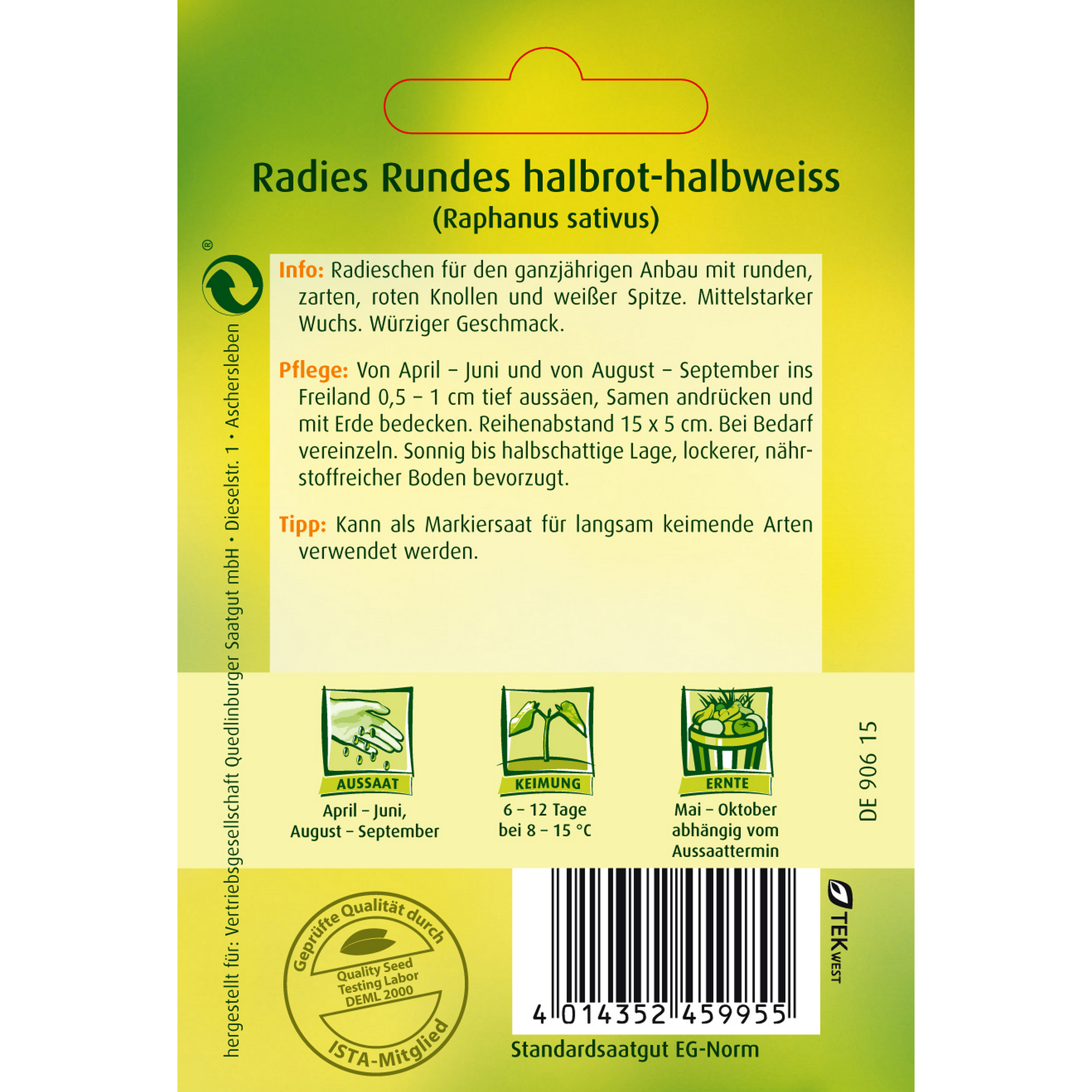 Radies 'Rundes halbrot-halbweiss' + product picture