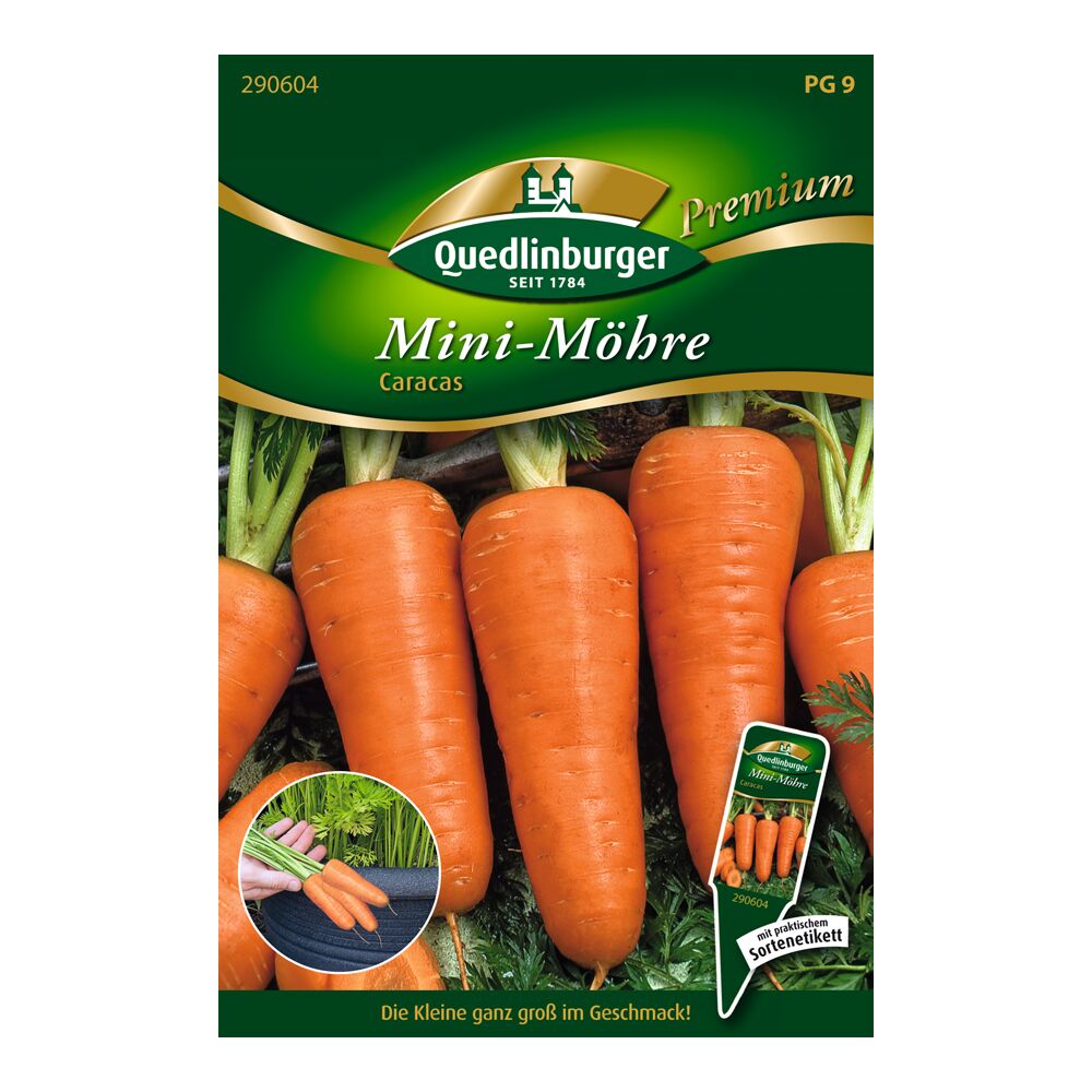 Samen der Quedlinburger Mini-Möhre Caracas