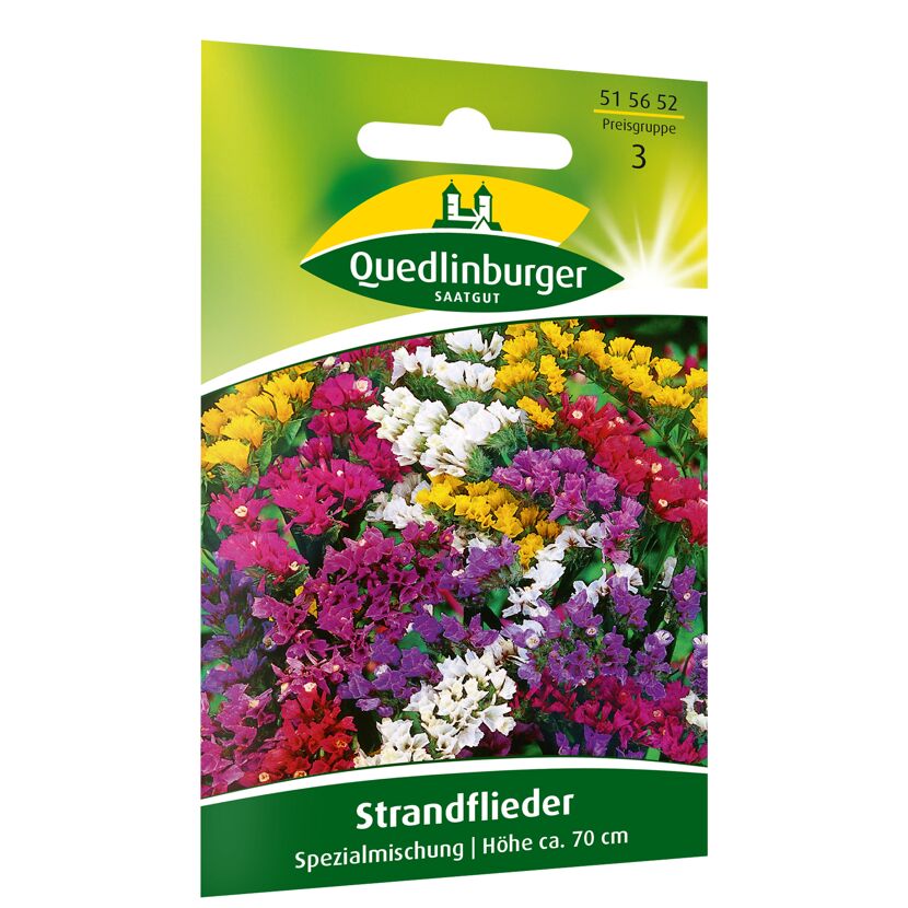 Strandflieder Spezialmischung