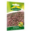 hauptbild