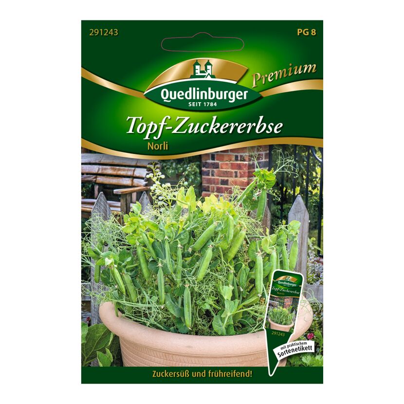 Quedlinburger Premium Topf-Zuckererbse Norli