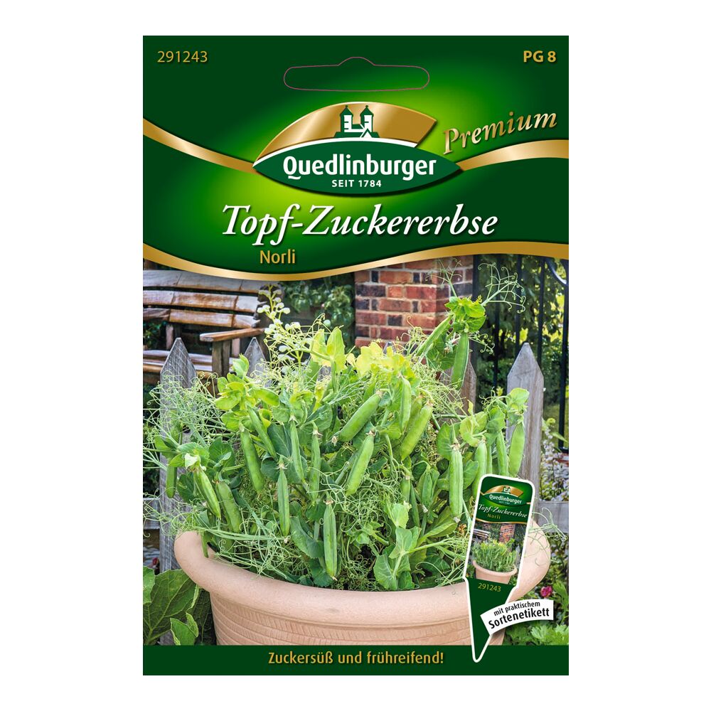 Quedlinburger Premium Topf-Zuckererbse Norli