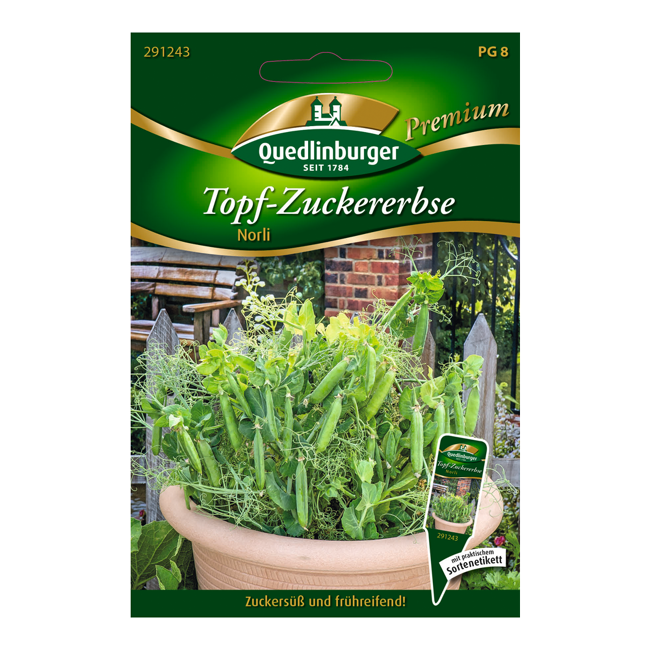 Bild von Topf-Zuckererbse \