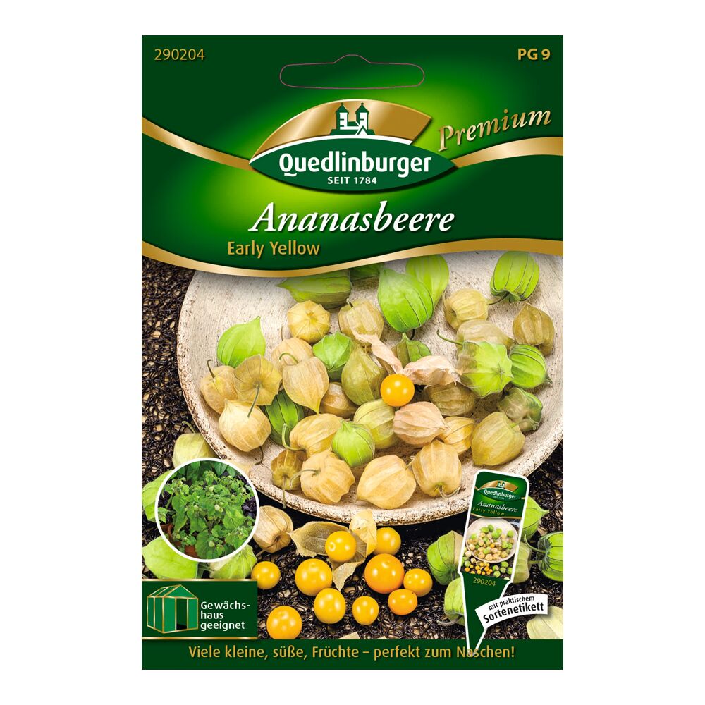 Samen der Ananasbeere Early Yellow von Quedlinburger