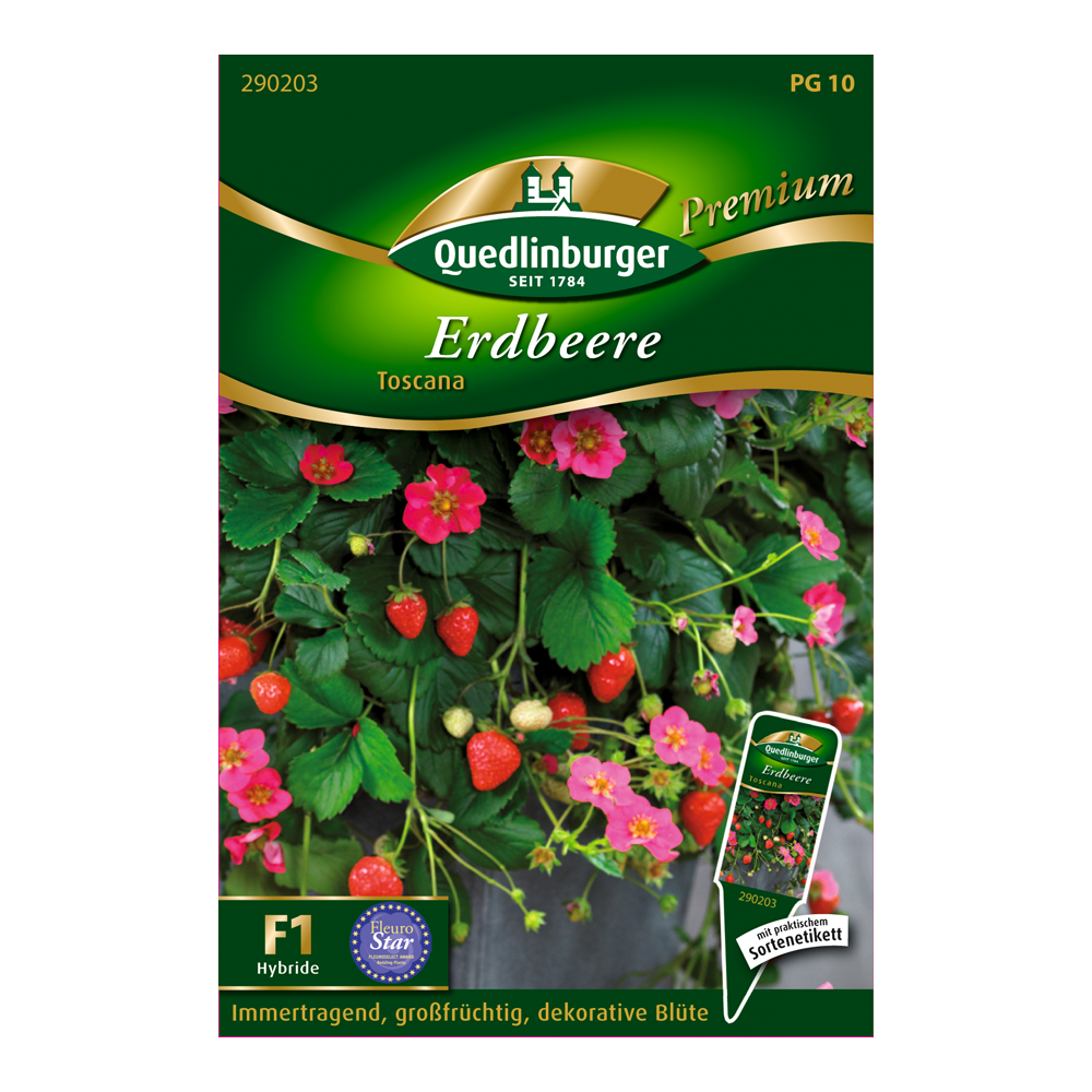Erdbeere "Toscana" 5 Stück + product picture