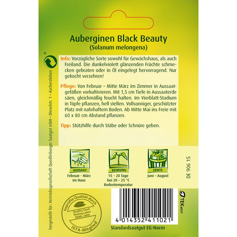 Auberginen Black Beauty