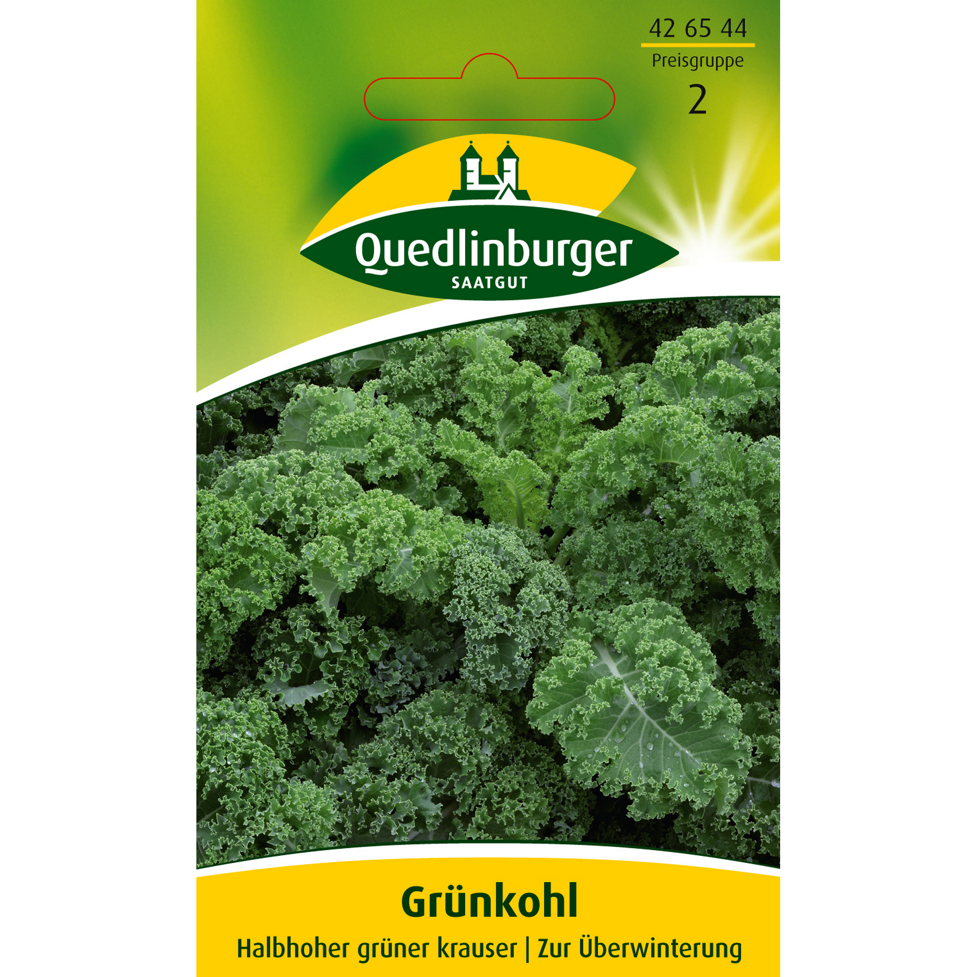 Grünkohl 'Halbhoher grüner krauser' + product picture