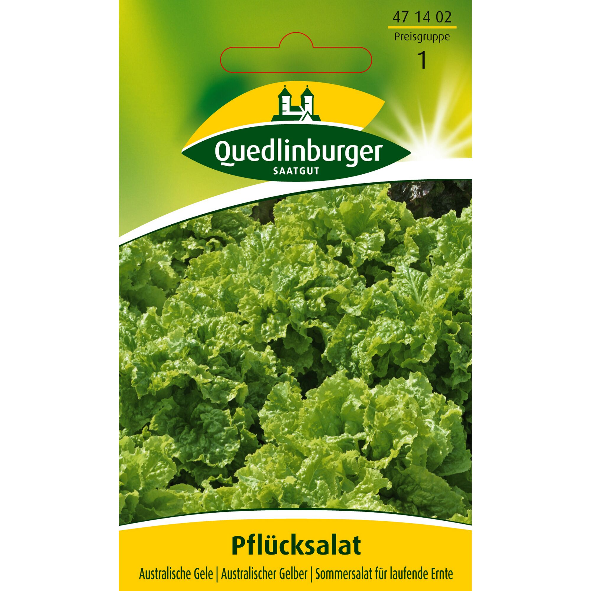 Pflücksalat Australische Gele im Freiland