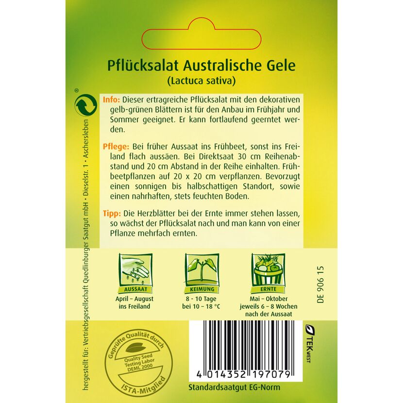 Samen Pflücksalat Australische Gele
