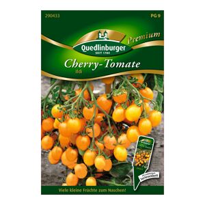 Cherrytomate "Ildi" 20 Stück